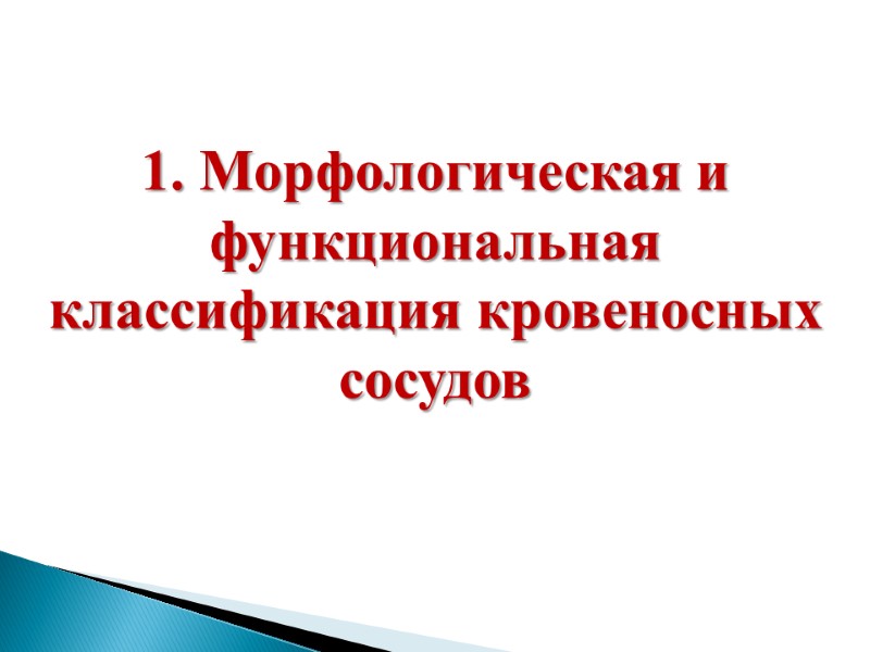 1. Морфологическая и функциональная классификация кровеносных сосудов